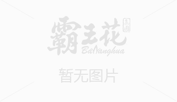 萬家飄香中國味道(dào)：廣東霸王花食品有限公司改革發展紀實